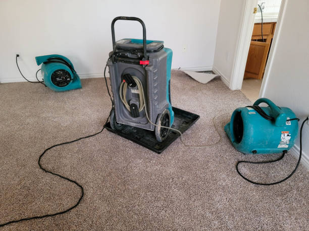 Best Water damage restoration near me  in Reedspt, OR