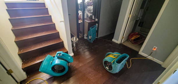 Best Flooded house restoration  in Reedspt, OR