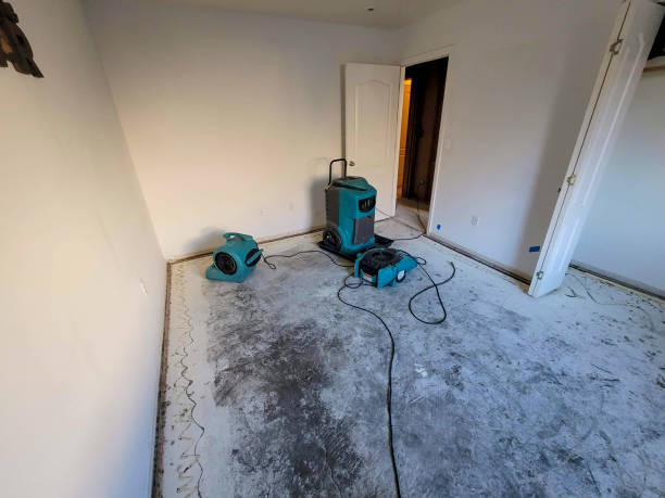 Best Water damage restoration near me  in Reedspt, OR