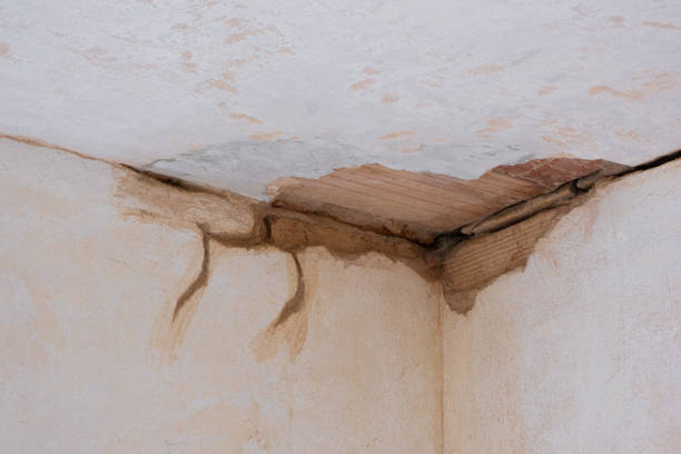 Best Water damage repair service  in Reedspt, OR