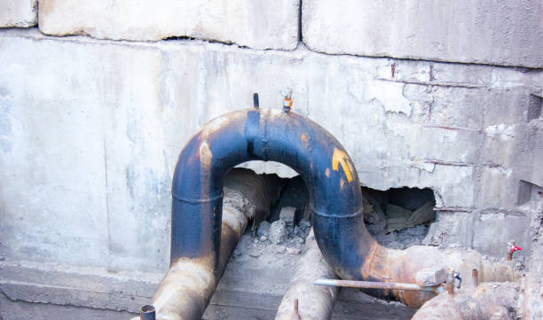 Best Mold removal after water damage  in Reedspt, OR