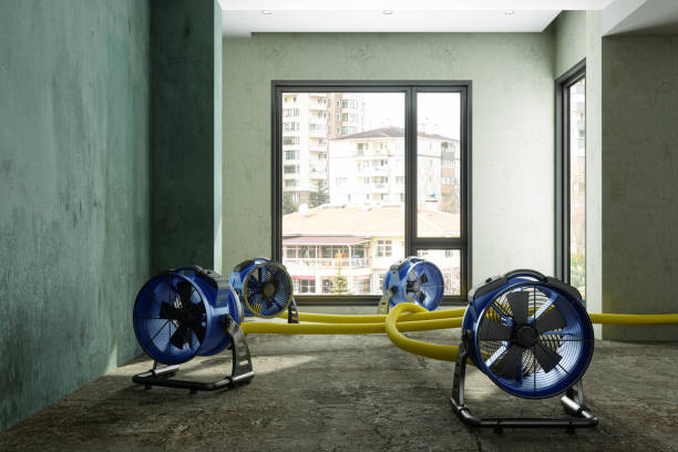 Best Water damage contractors near me  in Reedspt, OR